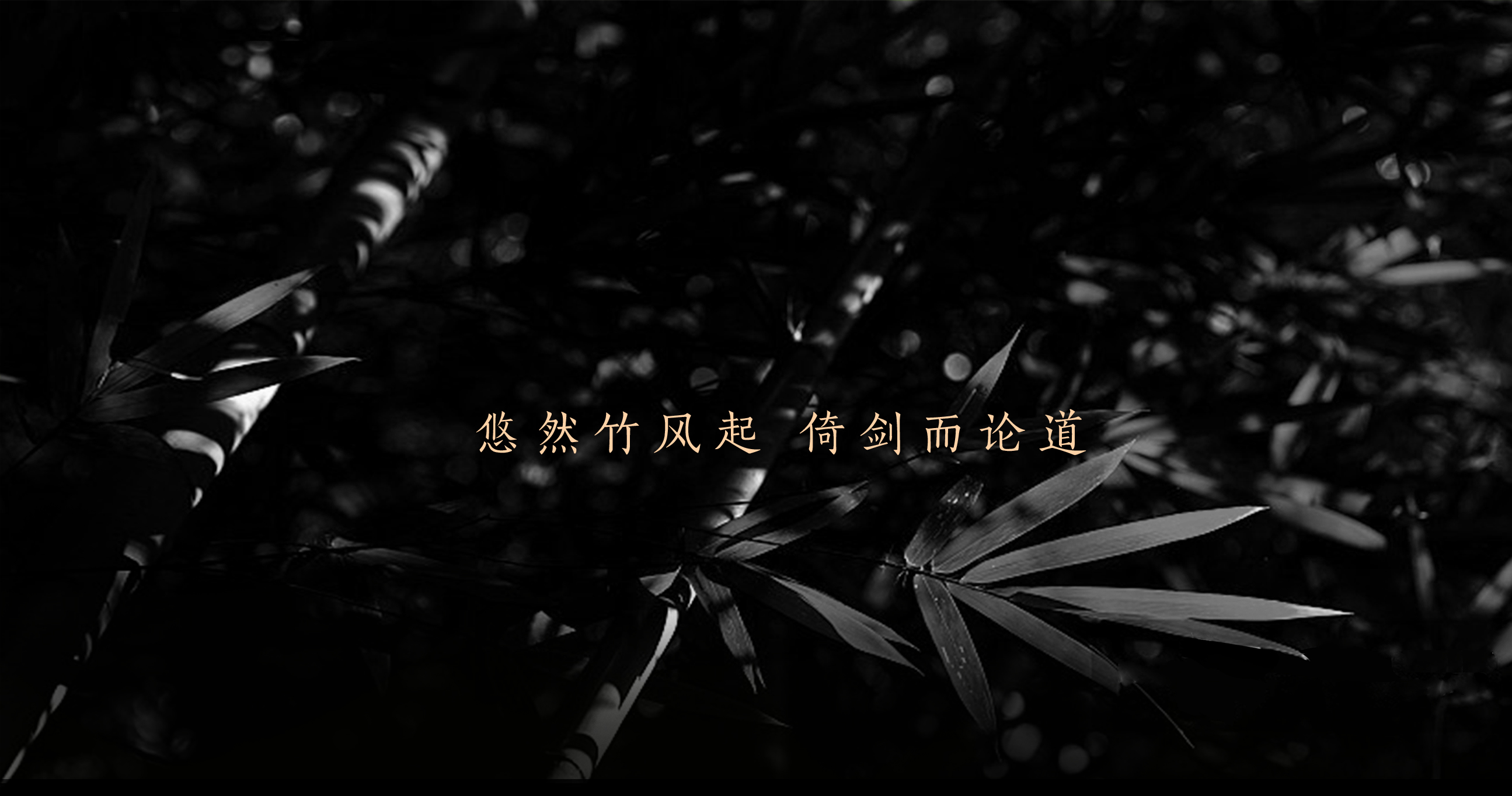 西凤酒-华山论剑30年_08.jpg